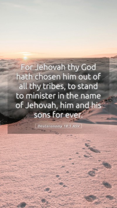 Picture 05 - Deuteronomy 18:5 ASV Mobile Phone Wallpaper - For Jehovah thy God hath chosen him out of all - Mobile Bible Verse Wallpaper