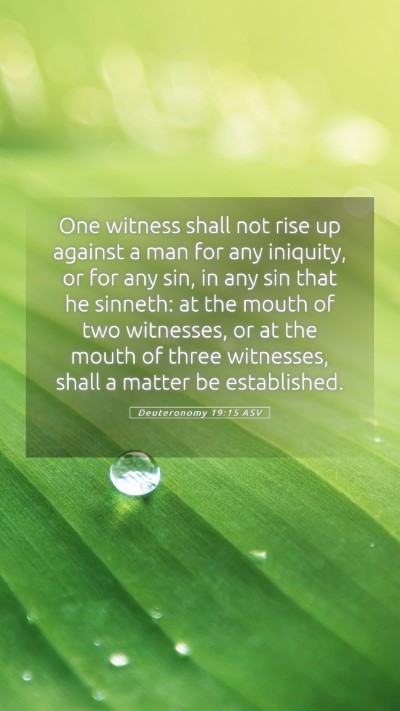 Picture 05 - Deuteronomy 19:15 ASV Mobile Phone Wallpaper - One witness shall not rise up against a man for - Mobile Bible Verse Wallpaper
