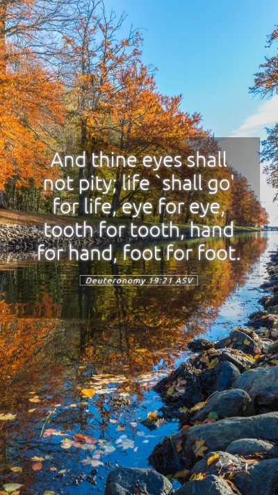 Picture 05 - Deuteronomy 19:21 ASV Mobile Phone Wallpaper - And thine eyes shall not pity; life `shall go' - Mobile Bible Verse Wallpaper