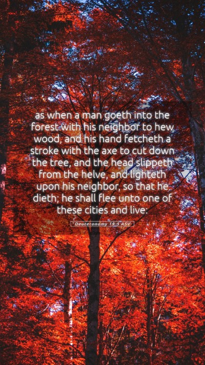 Picture 05 - Deuteronomy 19:5 ASV Mobile Phone Wallpaper - as when a man goeth into the forest with his - Mobile Bible Verse Wallpaper