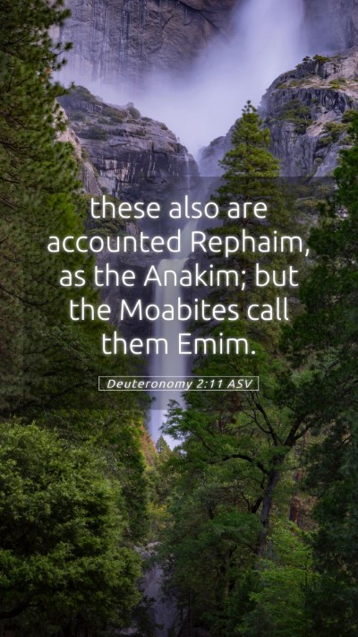 Picture 05 - Deuteronomy 2:11 ASV Mobile Phone Wallpaper - these also are accounted Rephaim, as the Anakim; - Mobile Bible Verse Wallpaper