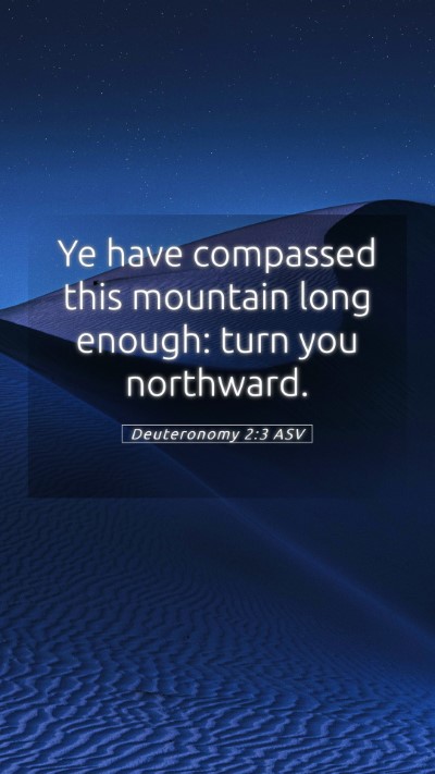 Picture 05 - Deuteronomy 2:3 ASV Mobile Phone Wallpaper - Ye have compassed this mountain long enough: turn - Mobile Bible Verse Wallpaper