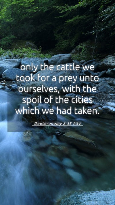 Picture 05 - Deuteronomy 2:35 ASV Mobile Phone Wallpaper - only the cattle we took for a prey unto - Mobile Bible Verse Wallpaper