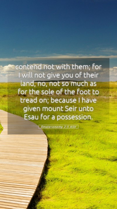 Picture 05 - Deuteronomy 2:5 ASV Mobile Phone Wallpaper - contend not with them; for I will not give you of - Mobile Bible Verse Wallpaper