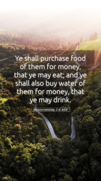 Picture 05 - Deuteronomy 2:6 ASV Mobile Phone Wallpaper - Ye shall purchase food of them for money, that ye - Mobile Bible Verse Wallpaper