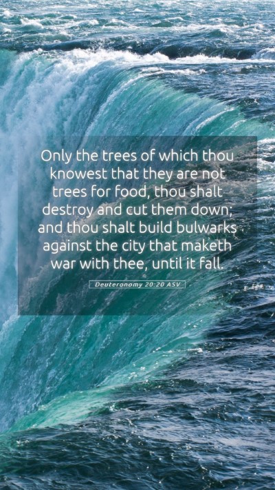 Picture 05 - Deuteronomy 20:20 ASV Mobile Phone Wallpaper - Only the trees of which thou knowest that they - Mobile Bible Verse Wallpaper