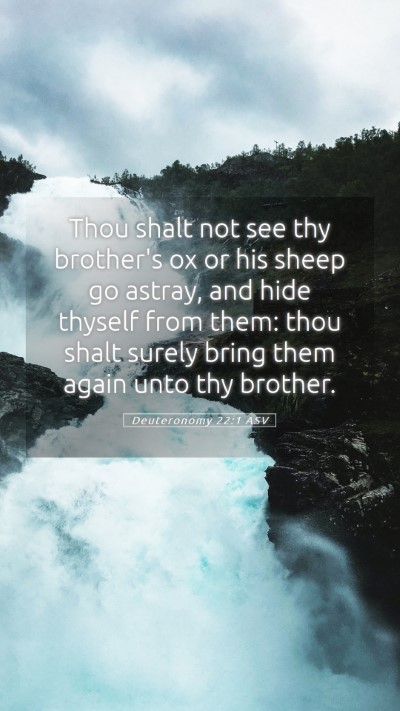 Picture 05 - Deuteronomy 22:1 ASV Mobile Phone Wallpaper - Thou shalt not see thy brother's ox or his sheep - Mobile Bible Verse Wallpaper