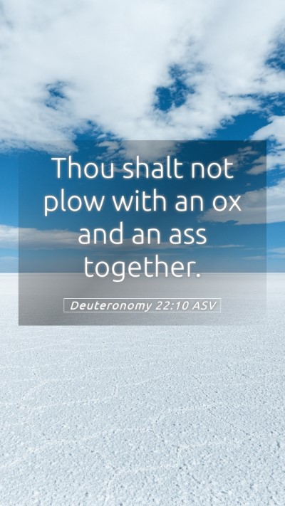 Picture 05 - Deuteronomy 22:10 ASV Mobile Phone Wallpaper - Thou shalt not plow with an ox and an ass - Mobile Bible Verse Wallpaper