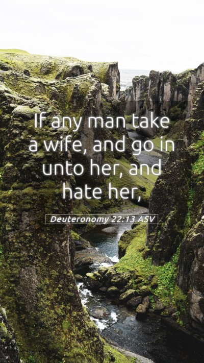 Picture 05 - Deuteronomy 22:13 ASV Mobile Phone Wallpaper - If any man take a wife, and go in unto her, and - Mobile Bible Verse Wallpaper
