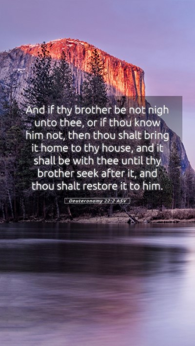 Picture 05 - Deuteronomy 22:2 ASV Mobile Phone Wallpaper - And if thy brother be not nigh unto thee, or if - Mobile Bible Verse Wallpaper