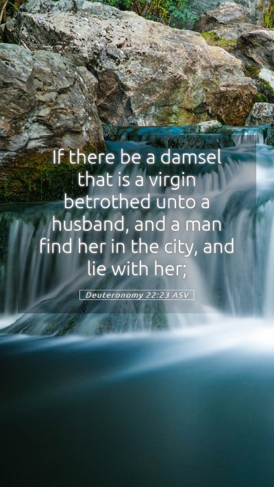 Picture 05 - Deuteronomy 22:23 ASV Mobile Phone Wallpaper - If there be a damsel that is a virgin betrothed - Mobile Bible Verse Wallpaper