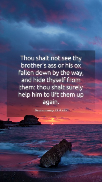 Picture 05 - Deuteronomy 22:4 ASV Mobile Phone Wallpaper - Thou shalt not see thy brother's ass or his ox - Mobile Bible Verse Wallpaper