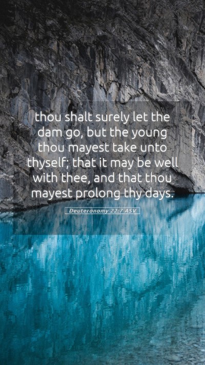 Picture 05 - Deuteronomy 22:7 ASV Mobile Phone Wallpaper - thou shalt surely let the dam go, but the young - Mobile Bible Verse Wallpaper