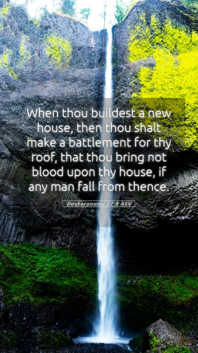 Picture 05 - Deuteronomy 22:8 ASV Mobile Phone Wallpaper - When thou buildest a new house, then thou shalt - Mobile Bible Verse Wallpaper