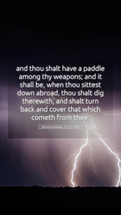Picture 05 - Deuteronomy 23:13 ASV Mobile Phone Wallpaper - and thou shalt have a paddle among thy weapons; - Mobile Bible Verse Wallpaper