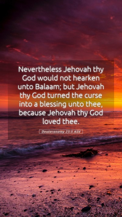 Picture 05 - Deuteronomy 23:5 ASV Mobile Phone Wallpaper - Nevertheless Jehovah thy God would not hearken - Mobile Bible Verse Wallpaper
