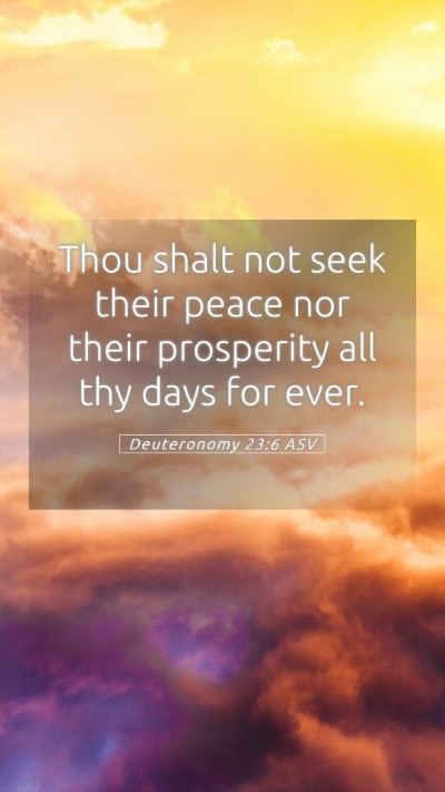 Picture 05 - Deuteronomy 23:6 ASV Mobile Phone Wallpaper - Thou shalt not seek their peace nor their - Mobile Bible Verse Wallpaper