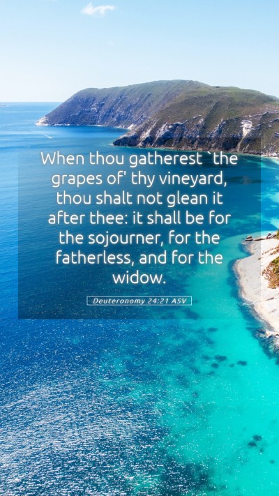 Picture 05 - Deuteronomy 24:21 ASV Mobile Phone Wallpaper - When thou gatherest `the grapes of' thy vineyard, - Mobile Bible Verse Wallpaper