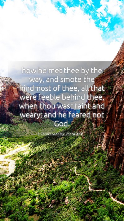 Picture 05 - Deuteronomy 25:18 ASV Mobile Phone Wallpaper - how he met thee by the way, and smote the - Mobile Bible Verse Wallpaper