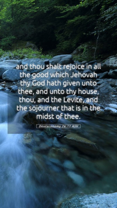 Picture 05 - Deuteronomy 26:11 ASV Mobile Phone Wallpaper - and thou shalt rejoice in all the good which - Mobile Bible Verse Wallpaper
