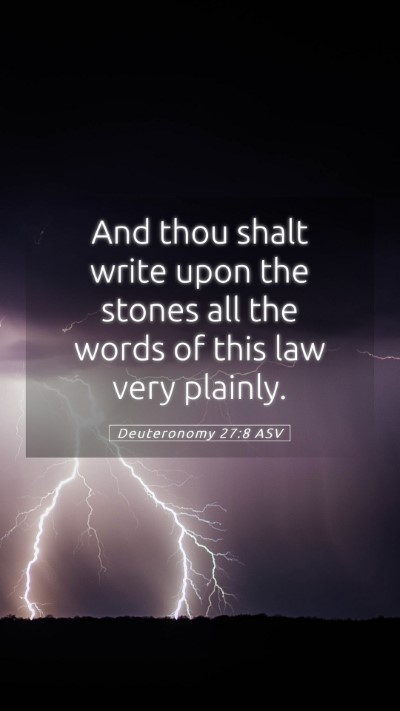 Picture 05 - Deuteronomy 27:8 ASV Mobile Phone Wallpaper - And thou shalt write upon the stones all the - Mobile Bible Verse Wallpaper