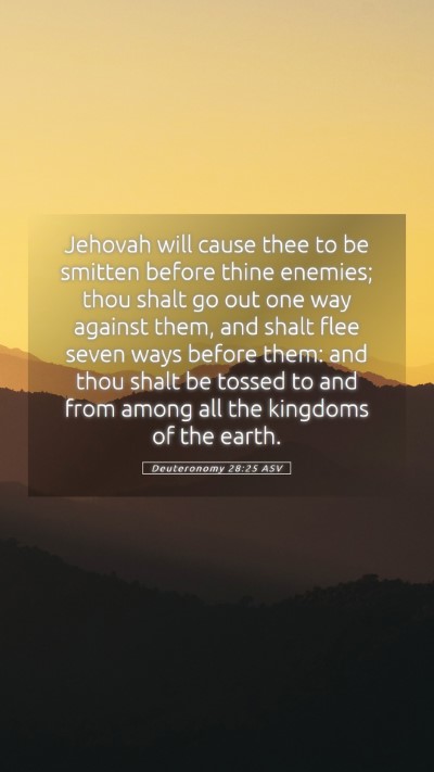 Picture 05 - Deuteronomy 28:25 ASV Mobile Phone Wallpaper - Jehovah will cause thee to be smitten before - Mobile Bible Verse Wallpaper