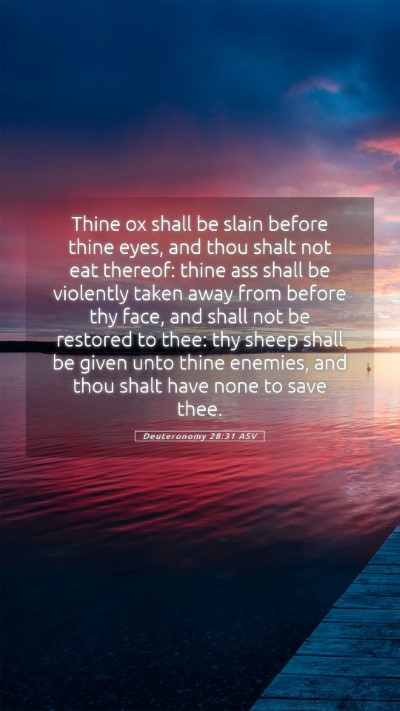 Picture 05 - Deuteronomy 28:31 ASV Mobile Phone Wallpaper - Thine ox shall be slain before thine eyes, and - Mobile Bible Verse Wallpaper