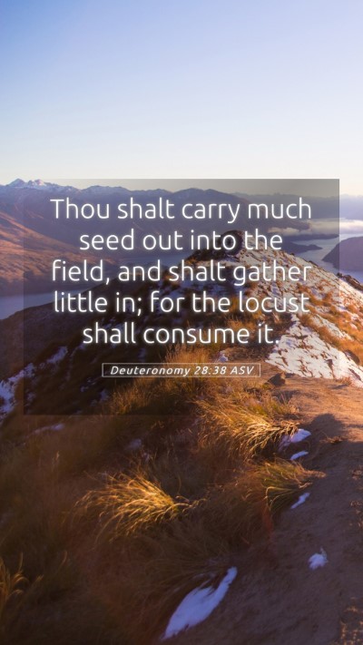 Picture 05 - Deuteronomy 28:38 ASV Mobile Phone Wallpaper - Thou shalt carry much seed out into the field, - Mobile Bible Verse Wallpaper