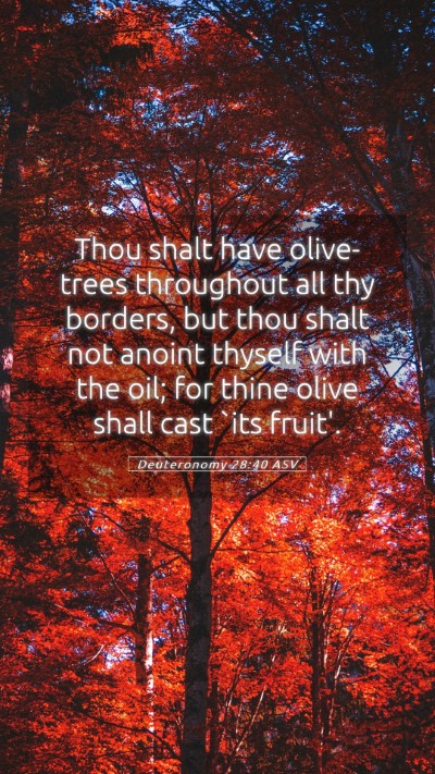 Picture 05 - Deuteronomy 28:40 ASV Mobile Phone Wallpaper - Thou shalt have olive-trees throughout all thy - Mobile Bible Verse Wallpaper