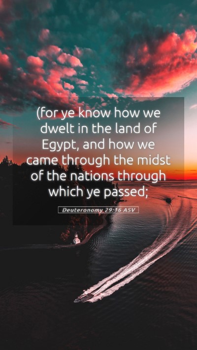 Picture 05 - Deuteronomy 29:16 ASV Mobile Phone Wallpaper - (for ye know how we dwelt in the land of Egypt, - Mobile Bible Verse Wallpaper