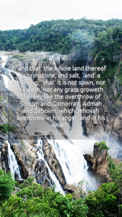 Picture 05 - Deuteronomy 29:23 ASV Mobile Phone Wallpaper - `and that' the whole land thereof is brimstone, - Mobile Bible Verse Wallpaper