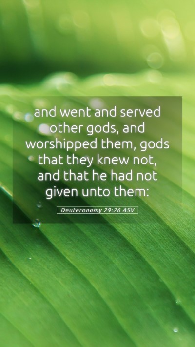 Picture 05 - Deuteronomy 29:26 ASV Mobile Phone Wallpaper - and went and served other gods, and worshipped - Mobile Bible Verse Wallpaper
