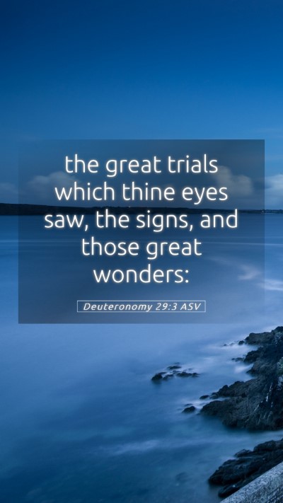 Picture 05 - Deuteronomy 29:3 ASV Mobile Phone Wallpaper - the great trials which thine eyes saw, the signs, - Mobile Bible Verse Wallpaper