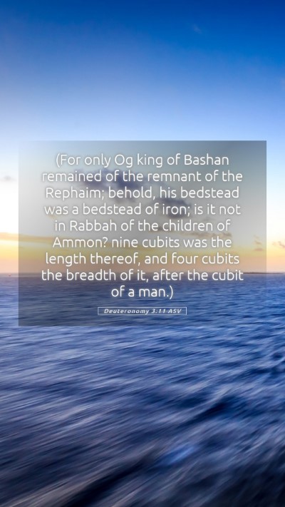 Picture 05 - Deuteronomy 3:11 ASV Mobile Phone Wallpaper - (For only Og king of Bashan remained of the - Mobile Bible Verse Wallpaper