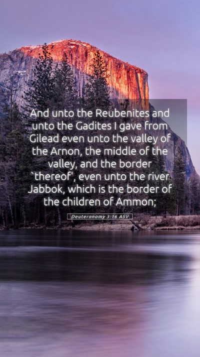 Picture 05 - Deuteronomy 3:16 ASV Mobile Phone Wallpaper - And unto the Reubenites and unto the Gadites I - Mobile Bible Verse Wallpaper