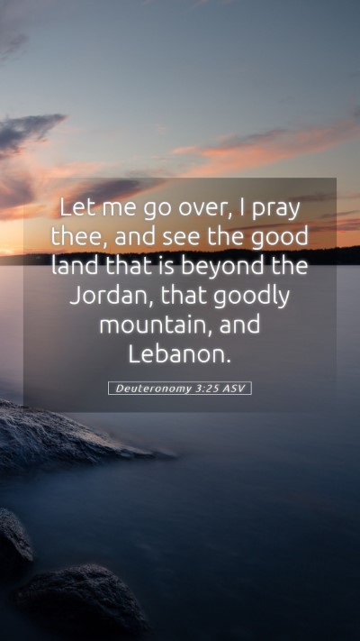 Picture 05 - Deuteronomy 3:25 ASV Mobile Phone Wallpaper - Let me go over, I pray thee, and see the good - Mobile Bible Verse Wallpaper