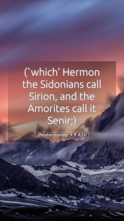 Picture 05 - Deuteronomy 3:9 ASV Mobile Phone Wallpaper - (`which' Hermon the Sidonians call Sirion, and - Mobile Bible Verse Wallpaper