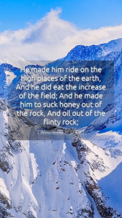 Picture 05 - Deuteronomy 32:13 ASV Mobile Phone Wallpaper - He made him ride on the high places of the earth, - Mobile Bible Verse Wallpaper