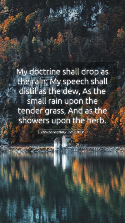 Picture 05 - Deuteronomy 32:2 ASV Mobile Phone Wallpaper - My doctrine shall drop as the rain; My speech - Mobile Bible Verse Wallpaper