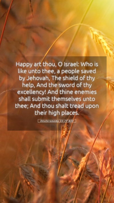 Picture 05 - Deuteronomy 33:29 ASV Mobile Phone Wallpaper - Happy art thou, O Israel: Who is like unto thee, - Mobile Bible Verse Wallpaper
