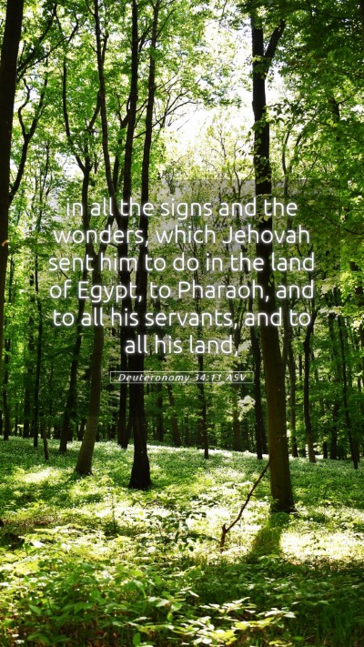 Picture 05 - Deuteronomy 34:11 ASV Mobile Phone Wallpaper - in all the signs and the wonders, which Jehovah - Mobile Bible Verse Wallpaper