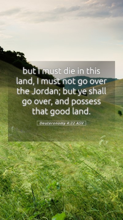 Picture 05 - Deuteronomy 4:22 ASV Mobile Phone Wallpaper - but I must die in this land, I must not go over - Mobile Bible Verse Wallpaper