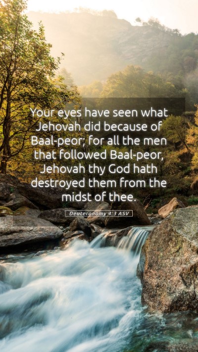 Picture 05 - Deuteronomy 4:3 ASV Mobile Phone Wallpaper - Your eyes have seen what Jehovah did because of - Mobile Bible Verse Wallpaper