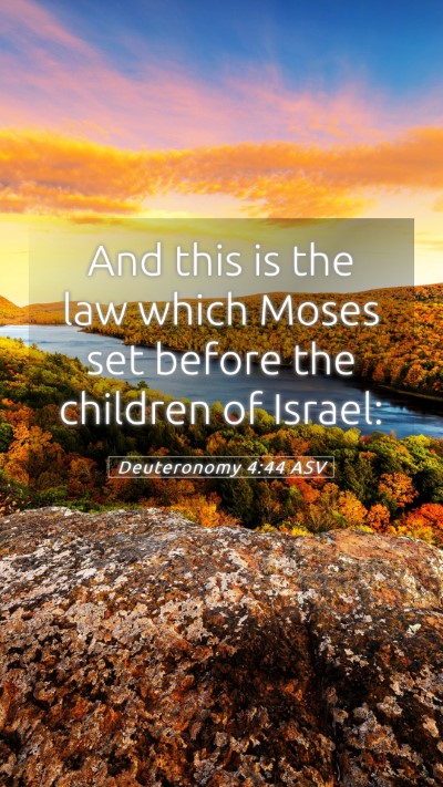 Picture 05 - Deuteronomy 4:44 ASV Mobile Phone Wallpaper - And this is the law which Moses set before the - Mobile Bible Verse Wallpaper