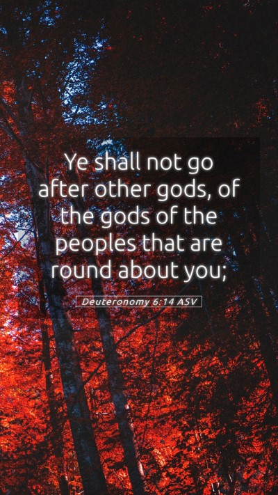 Picture 05 - Deuteronomy 6:14 ASV Mobile Phone Wallpaper - Ye shall not go after other gods, of the gods of - Mobile Bible Verse Wallpaper