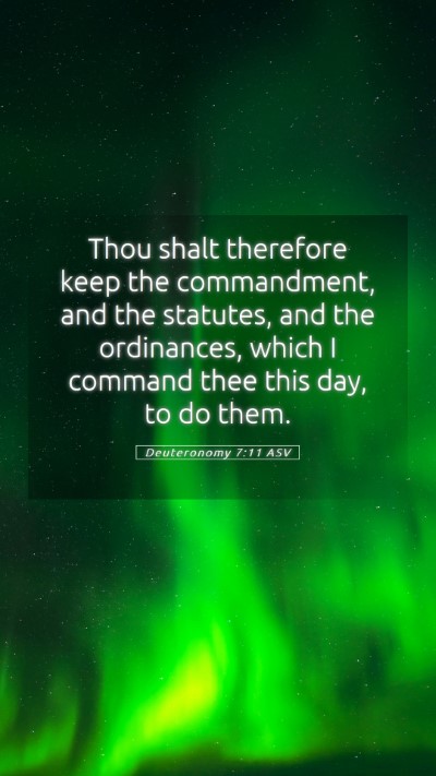Picture 05 - Deuteronomy 7:11 ASV Mobile Phone Wallpaper - Thou shalt therefore keep the commandment, and - Mobile Bible Verse Wallpaper