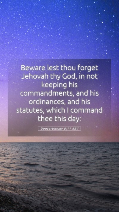 Picture 05 - Deuteronomy 8:11 ASV Mobile Phone Wallpaper - Beware lest thou forget Jehovah thy God, in not - Mobile Bible Verse Wallpaper