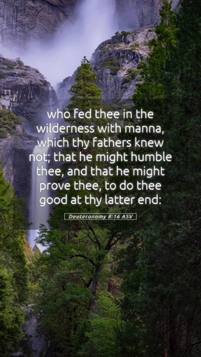 Picture 05 - Deuteronomy 8:16 ASV Mobile Phone Wallpaper - who fed thee in the wilderness with manna, which - Mobile Bible Verse Wallpaper