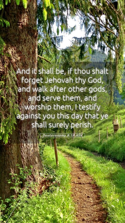 Picture 05 - Deuteronomy 8:19 ASV Mobile Phone Wallpaper - And it shall be, if thou shalt forget Jehovah thy - Mobile Bible Verse Wallpaper