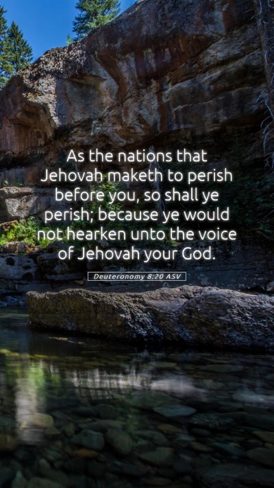 Picture 05 - Deuteronomy 8:20 ASV Mobile Phone Wallpaper - As the nations that Jehovah maketh to perish - Mobile Bible Verse Wallpaper
